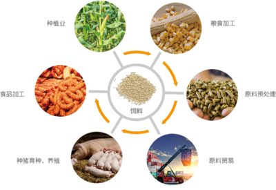 谷實(shí)生物成功完成創(chuàng)業(yè)板上市輔導(dǎo)，2020年?duì)I收突破17億元，糧食加工食品生產(chǎn)領(lǐng)域再添強(qiáng)將