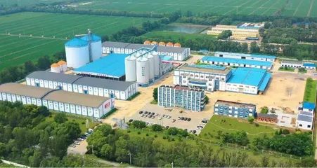 盤錦好糧香飄四海，盛會(huì)讓利惠聚八方——探訪糧食加工食品產(chǎn)業(yè)的“沃土”